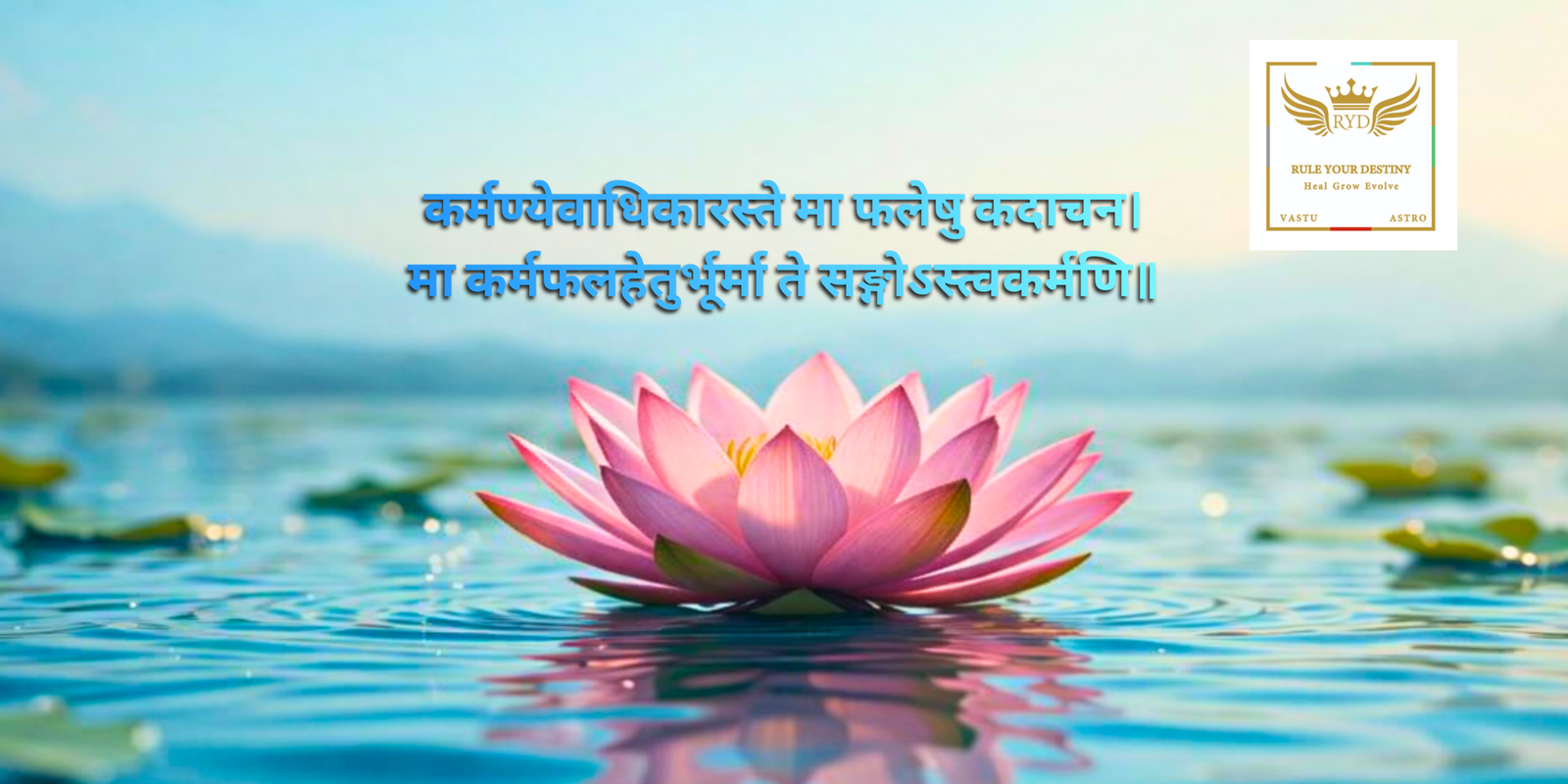 कर्मण्येवाधिकारस्ते मा फलेषु कदाचन। मा कर्मफलहेतुर्भूर्मा ते सङ्गोऽस्त्वकर्मणि॥/ sanskrit shlok/ lotus pics, sun rise pics, rule your destiny, amitdangofficial